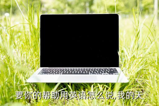 我需要你的帮助用英语怎么说,我的天