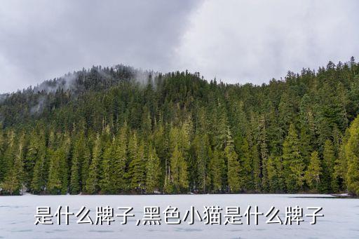 是什么牌子,黑色小猫是什么牌子