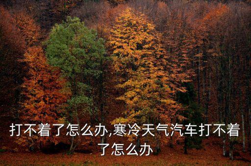 汽车打不着了怎么办,寒冷天气汽车打不着了怎么办