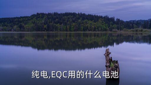 纯电,EQC用的什么电池