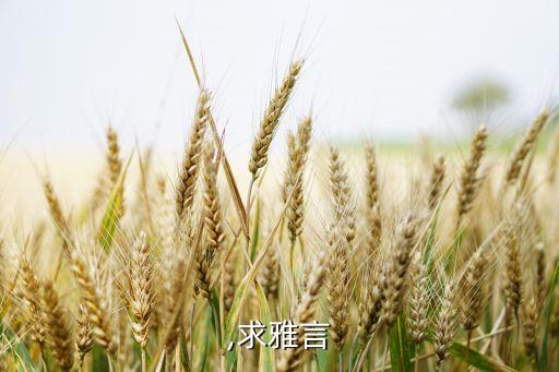 雅玩,求雅言