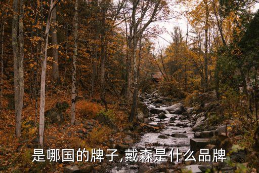 戴森是哪国的牌子,戴森是什么品牌?
