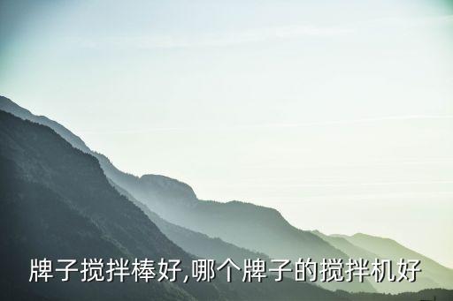 什么牌子搅拌棒好,哪个牌子的搅拌机好?