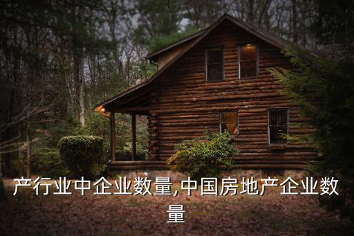产行业中企业数量,中国房地产企业数量