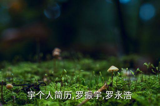 罗振宇个人简历,罗振宇,罗永浩