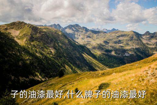 子的油漆最好,什么牌子的油漆最好