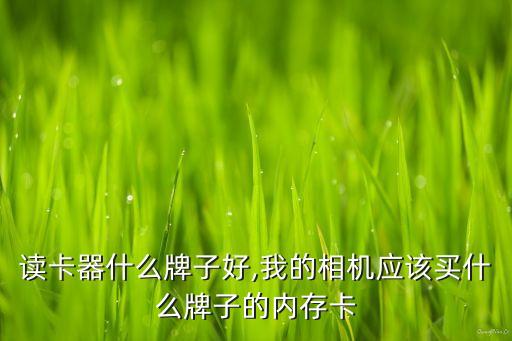 相机读卡器什么牌子好,我的相机应该买什么牌子的内存卡?