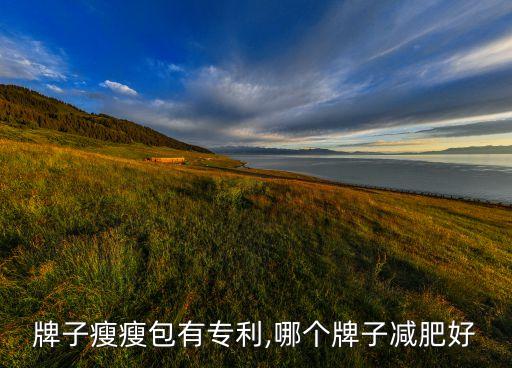 哪个牌子瘦瘦包有专利,哪个牌子减肥好?