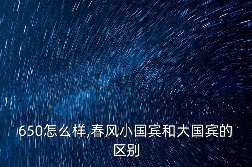 国宾650怎么样,春风小国宾和大国宾的区别