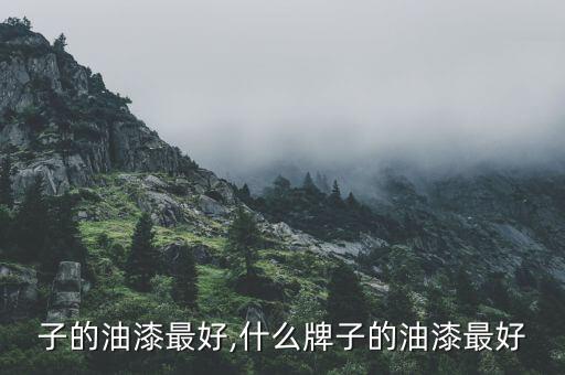 子的油漆最好,什么牌子的油漆最好