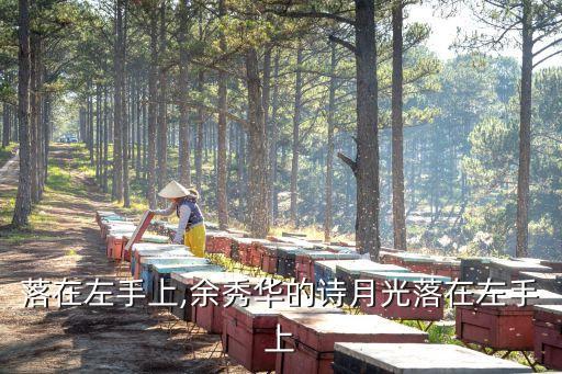 落在左手上,余秀华的诗月光落在左手上