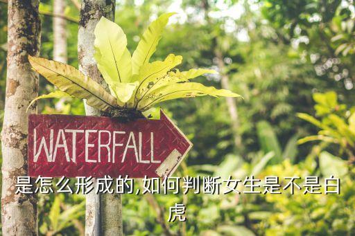 白虎是怎么形成的,如何判断女生是不是白虎?