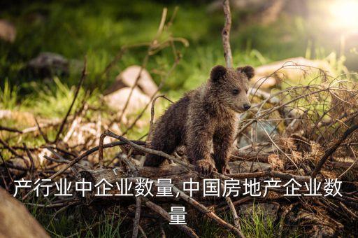 产行业中企业数量,中国房地产企业数量
