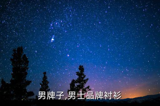 衬衣男牌子,男士品牌衬衫