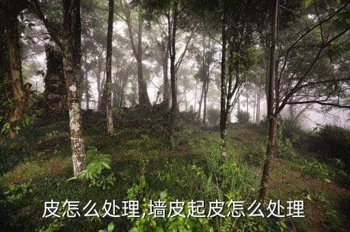 皮怎么处理,墙皮起皮怎么处理