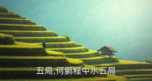 中水五局,何鹏程中水五局