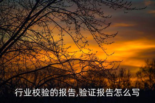 行业校验的报告,验证报告怎么写