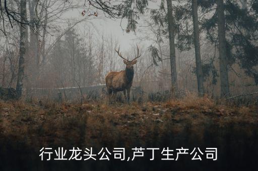 行业龙头公司,芦丁生产公司