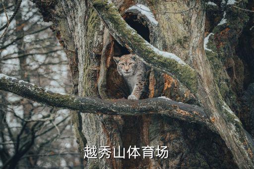广州越秀山体育场