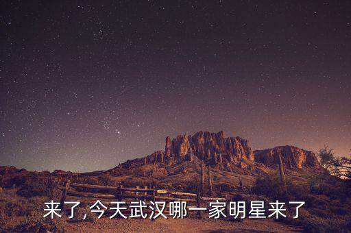 明星来了,今天武汉哪一家明星来了