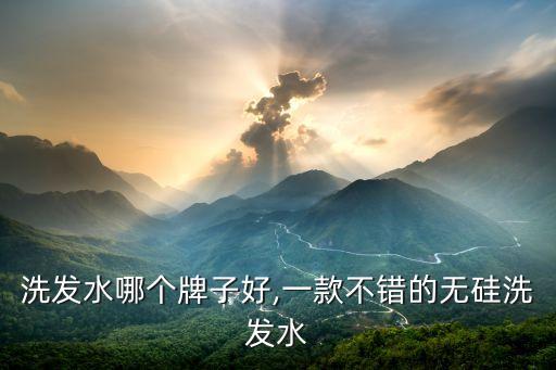 无硅洗发水哪个牌子好,一款不错的无硅洗发水