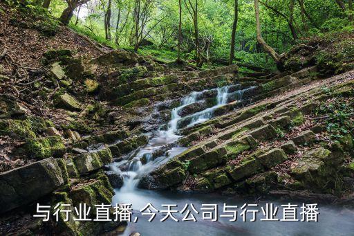 与行业直播,今天公司与行业直播