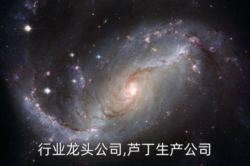 芦丁行业龙头公司,芦丁生产公司