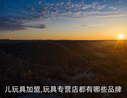 儿玩具加盟,玩具专营店都有哪些品牌