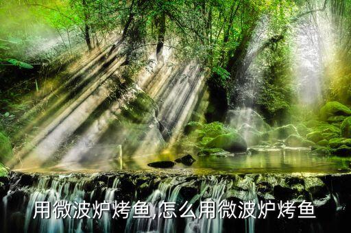 怎么用微波炉烤鱼,怎么用微波炉烤鱼?