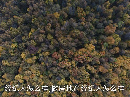经纪人怎么样,做房地产经纪人怎么样