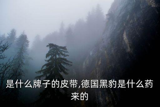 是什么牌子的皮带,德国黑豹是什么药来的
