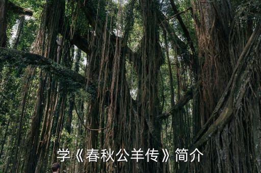 公羊学《春秋公羊传》简介
