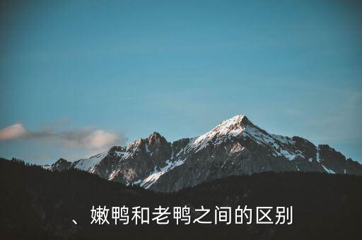 、嫩鸭和老鸭之间的区别