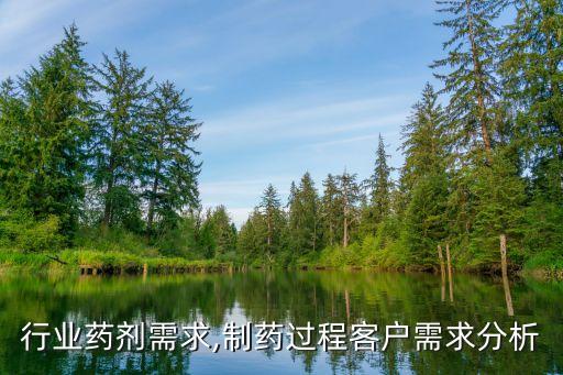 有色行业药剂需求,制药过程客户需求分析