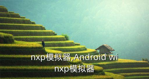 winxp模拟器,Android winxp模拟器