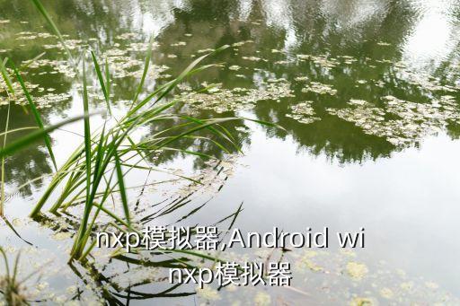 nxp模拟器,Android winxp模拟器