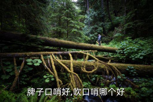 牌子口哨好,吹口哨哪个好