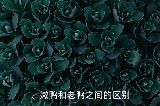 、嫩鸭和老鸭之间的区别