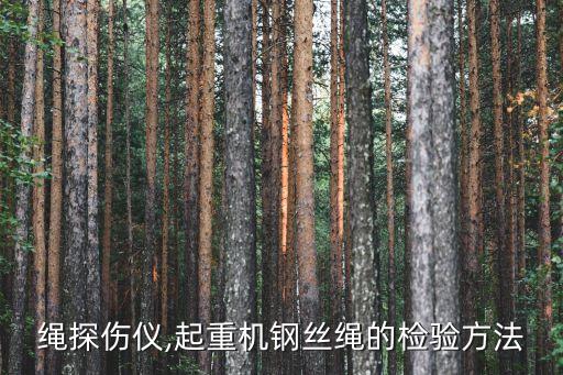 钢丝绳探伤仪,起重机钢丝绳的检验方法