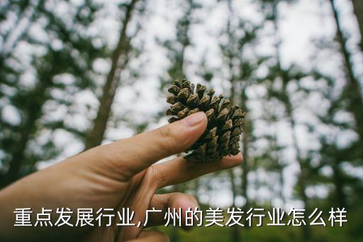 广州重点发展行业,广州的美发行业怎么样?