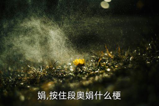 段奥娟,按住段奥娟什么梗?