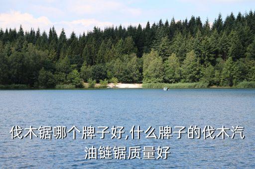 伐木锯哪个牌子好,什么牌子的伐木汽油链锯质量好
