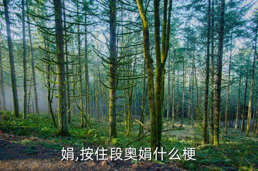娟,按住段奥娟什么梗