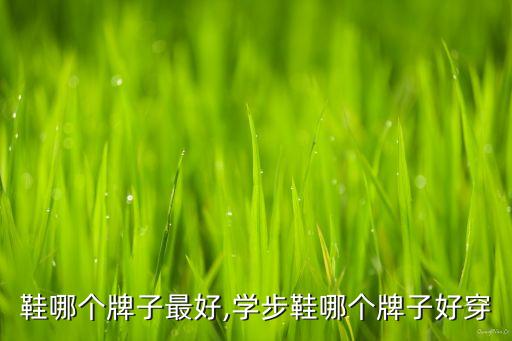 鞋哪个牌子最好,学步鞋哪个牌子好穿