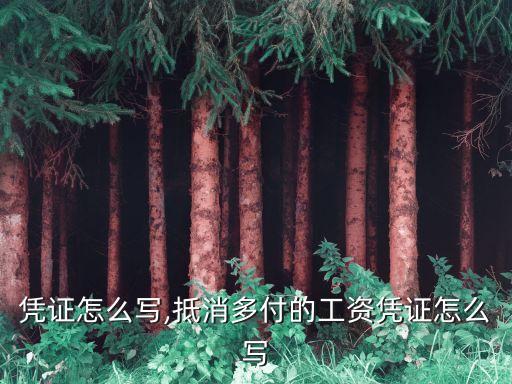 工资凭证怎么写,抵消多付的工资凭证怎么写
