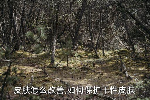 皮肤怎么改善,如何保护干性皮肤