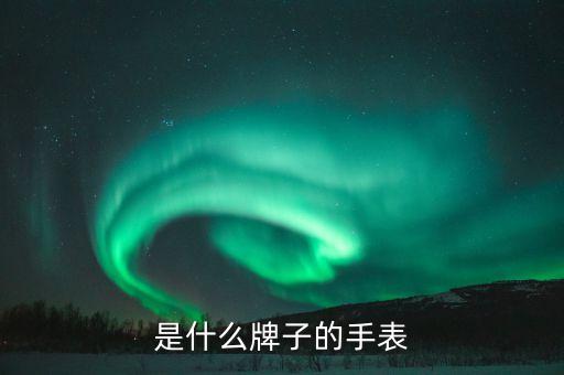 是什么牌子的手表