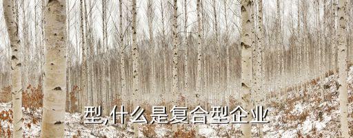 复合型,什么是复合型企业?