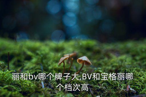 丽和bv哪个牌子大,BV和宝格丽哪个档次高