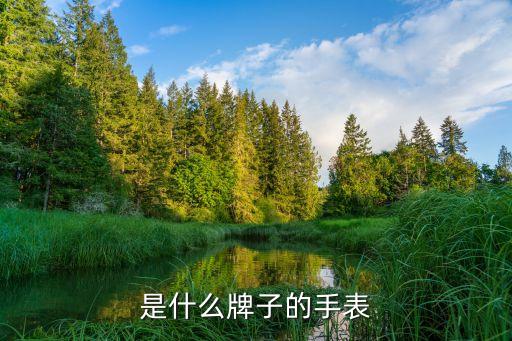 是什么牌子的手表